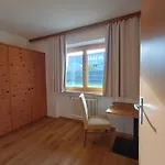 Hochtenn In Zell Am - Steinbock ツェル アム ゼー