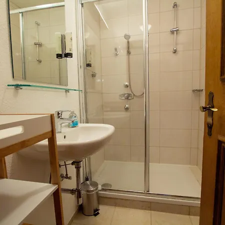 Hochtenn In Zell Am - Steinbock Holiday home *