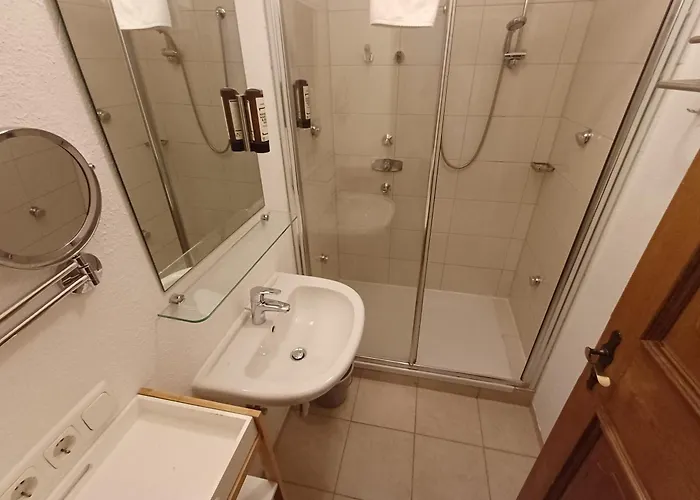 Hochtenn In Zell Am - Steinbock *