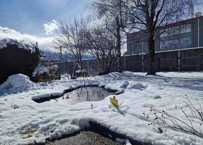 Hochtenn In Zell Am - Steinbock Holiday home Zell am See