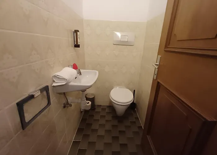 Hochtenn In Zell Am - Steinbock *